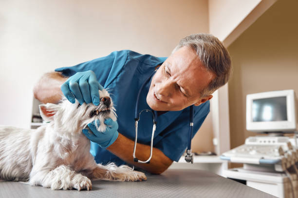 Best Emergency Tooth Extraction in , TX